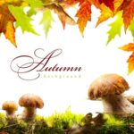 Mushrooms on grass with autumn leaves above and the word "Autumn" in cursive on a white background.