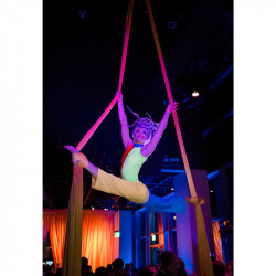 Aerialist