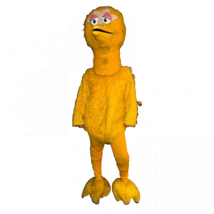 Big Bird Costume