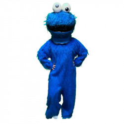 Cookie Monster Costume