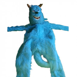 Sully (Monsters Inc) Costume