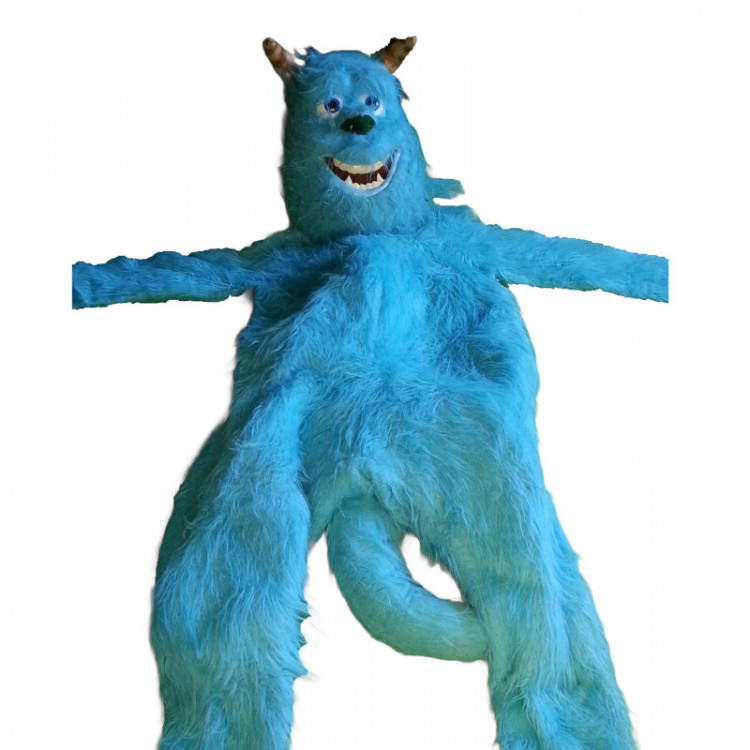 Sully (Monsters Inc) Costume