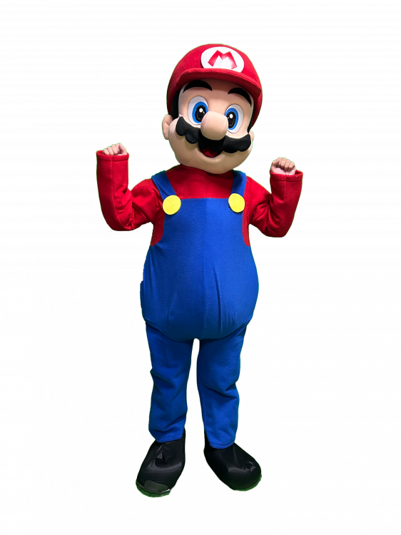 Mario Bros Costume