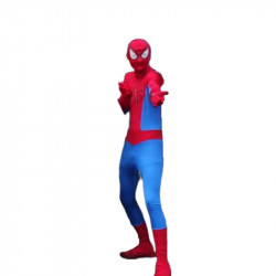 Spiderman (Blue & Red) Costume