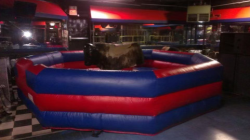 Mechanical Bull w/ Attendant